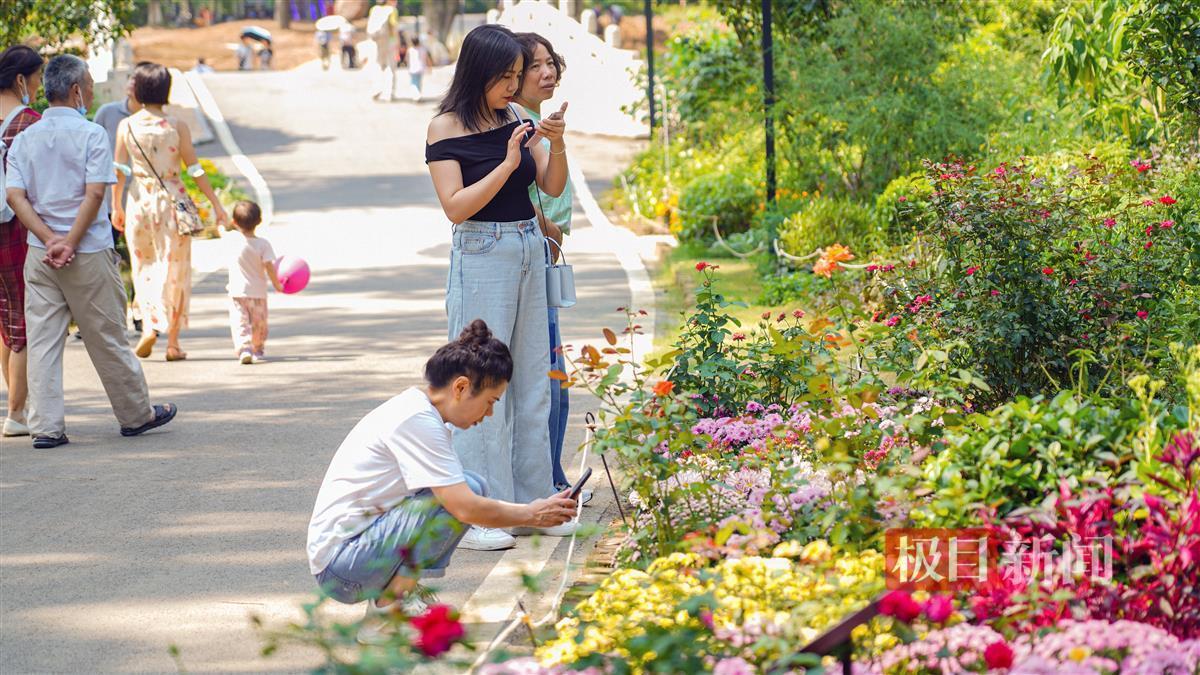 森林用什么游戏平台